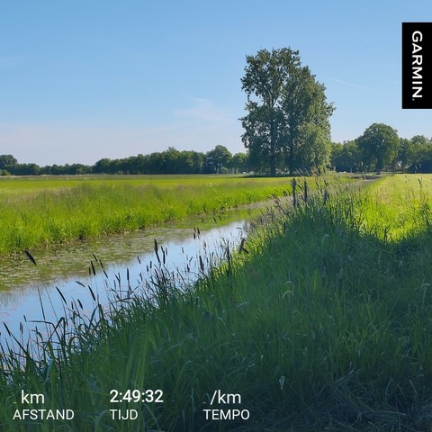 Canal surrounded by green fields, higher grass in the foreground, a small group of trees in the field and a line of trees in the background. Blue sky above, sunny weather.