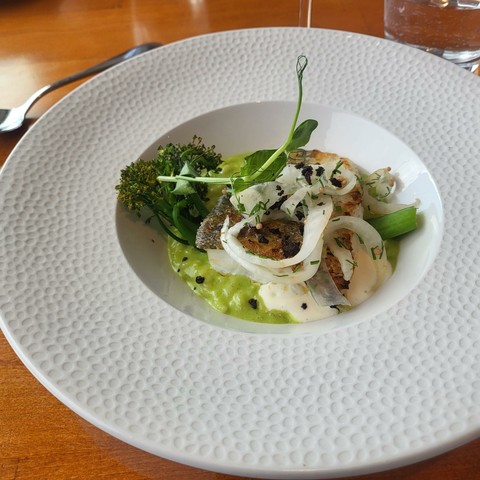 Pike perch with pea sprouts risotto