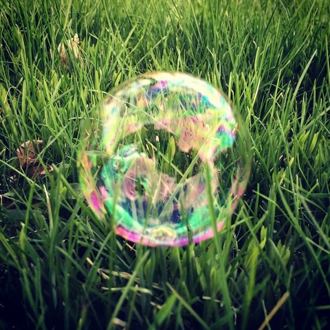 inexplicably one bubble landed in grass and survived long enough for a photo