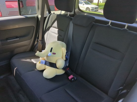 a plush mastodon mascot ready for a road trip sitting in middle, back row seat of a car with black cloth interior and wearing the seatbelt for maximum safety