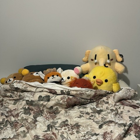 Many plush toys in bed comfy under a bedsheet.
Rilakkuma, Rilakkuma wearing a hat, Xenia fox plush, Korilakkuma, Firefox plush, Kiiroitori plush, Plushtodon mastodon plushy
