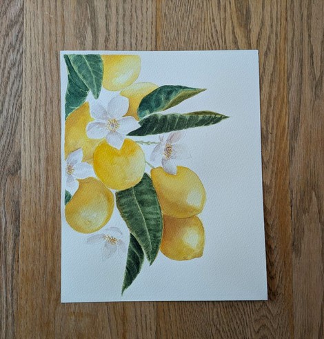 This is a watercolor painting of lemons, leaves and white lemon blossoms. The composition is in portrait format and spills from the upper left corner cascading down never touching the right or bottom edges. There are 7 lemons in various perspectives. There are 3 pairs of leaves: top left corner, a little lower extending horizontally to the right, and and the last pair extending down at the middle bottom. The bluey green leaves have visible veining and the upper right leaves are bent at the ends so a peak of the more yellow green backside is visible.