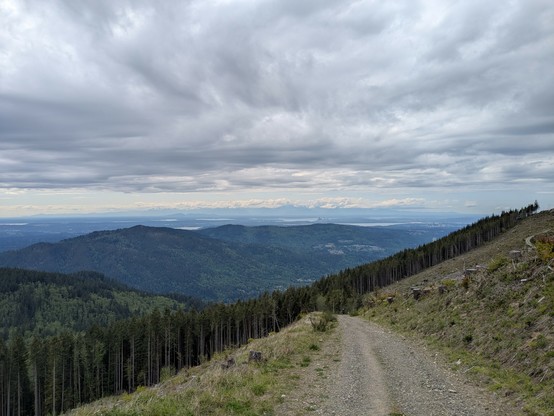 View from a mountain (Tiger Mountain). A gravel road leads down through a clear-cut, and a forest further down. In the far background the skylines of two cities can be seen (Bellevue and Seattle), with a large lake in between (Lake Washington), and parts of Puget Sound further left (west). There is a mountain range (Olympic Mountains) on the horizon, partially snow capped.