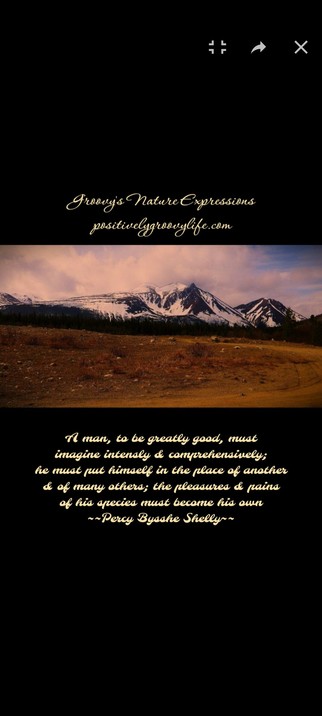 Philosophy