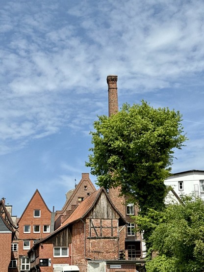 A funny brick chimney sticking out like the infamous middlefinger.