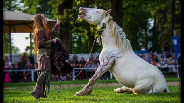 Star aus „Wendy“ und „Ostwind“: Filmpferd Larimar kämpft um sein Leben | Regional