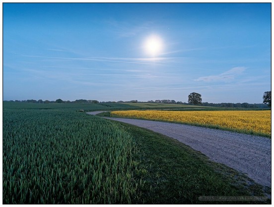 Flache Feldlandschaft m kühlen Mondlicht mit frisch-grünem Feld in der linken Bildhälfte und gelb blühendem Rapsfeld rechts, getrennt durch einen geschwungen von rechts unten nach links oben durchs Bild verlaufenden Schotterweg. Der blaue Nachthimmel ist sternenklar und nur von wenigen Schleierwolken durchzogen, etwas rechts von der Mitte im Bild der hell leuchtende Dreiviertelmond.