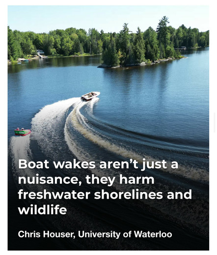 Boat wakes aren't just a
nuisance, they harm
freshwater shorelines and
wildlife

Chris Houser, University of Waterloo