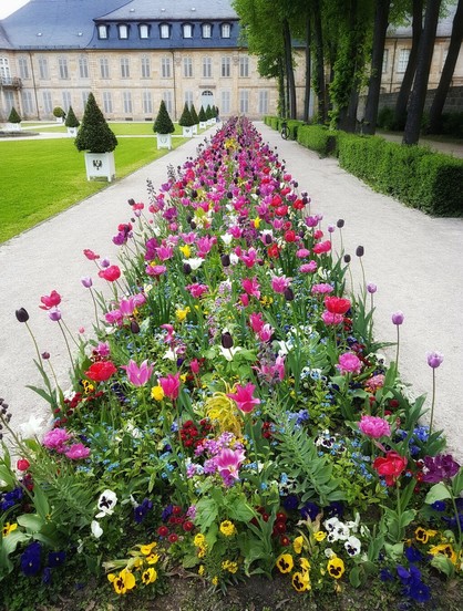 A long, narrow flowerbed filled with a dense mix of pink, purple, red, yellow, white, and blue tulips and other small flowers stretches along a light-coloured gravel path. The flowerbed leads towards a large, pale stone building with a blue roof and many windows, situated in the background. Green lawns and neatly trimmed hedges border the path on either side, with tall trees lining the right side of the frame.