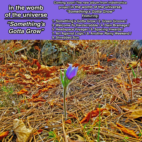 An artistic album announcement featuring a single purple flower amidst fallen leaves and pine needles. Text overlays announce the album title "Something's Gotta Grow" and list nine track titles. The background includes a stone and autumn foliage, creating a natural setting.