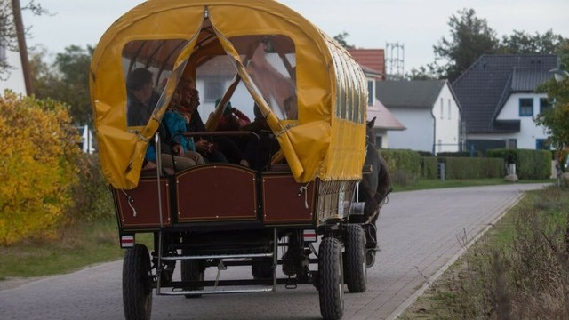 Pferd ergreift die Flucht: Kutsche überrollt drei Menschen | NDR.de - Nachrichten - Niedersachsen