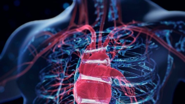 The wonder drug that can stop inflammation