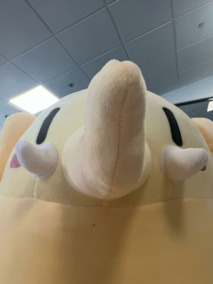 The mastodon plushie, shown very close, so that only their face is visible from below