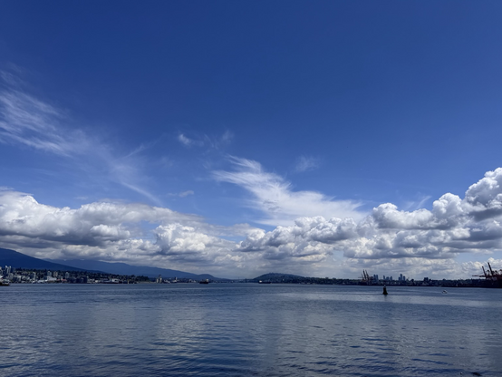 A landscape view of an inlet on the ocean. There is land on both sides & ships in the harbour. The sky is blue with large, puffy clouds in the distance.