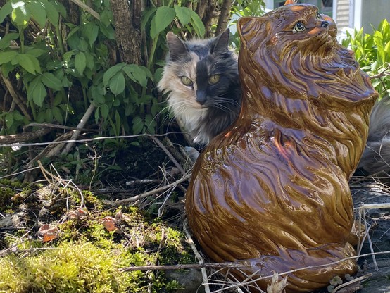 A picture of a calico cat, medium fluff sitting in the bushes behind a large ceramic cat statue. She is half gray and half buff. Shes looking sternly to her left around the statue seemingly suspicious.
