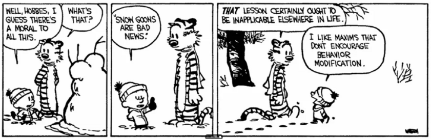 Calvin and Hobbes (1991-01-19)