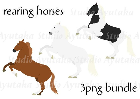 a set of clipart of 3 rearing horses from side view.