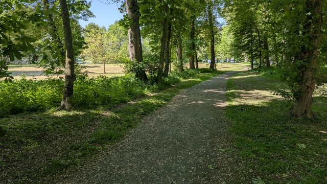 [KI-generiert]:  Das Bild zeigt einen sonnigen, friedlichen Spazierweg, der durch einen grünen Park mit hohen Bäumen führt.

Detaillierte Beschreibung:

Das Bild zeigt einen sandigen, schmalen Weg, der sich von der unteren Bildmitte in die Ferne schlängelt. Der Weg ist von üppigem, grünem Gras und einer Reihe von hohen, schlanken Bäumen gesäumt, die einen dichten Baldachin bilden und den Weg teilweise beschatten. Die Baumstämme sind von hellem Braun, ihre Blätter sind sattgrün und dicht. Die Bäume bilden eine natürliche, leicht gekrümmte Allee entlang des Weges. Der Boden ist mit kleinen, hellen Blütenblättern übersät, die wahrscheinlich von den Bäumen fallen. Im Hintergrund ist eine offene, grüne Fläche zu sehen, vielleicht eine Wiese oder ein Feld, die im Sonnenlicht hell leuchtet. Der Himmel ist klar und hellblau, obwohl er nur durch die Blätter des Baumbestands teilweise sichtbar ist. Die allgemeine Atmosphäre des Bildes ist ruhig, friedlich und ruhig. Es vermittelt ein Gefühl von Ruhe und Natürlichkeit. Es wirken keine Personen oder Tiere auf dem Bild. Die Beleuchtung deutet auf einen sonnigen Tag hin – das Licht fällt von oben und erzeugt Schatten entlang des Weges und unter den Bäumen.