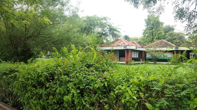 A garden with hut type structure in the background. White colored sky can be seen as well.