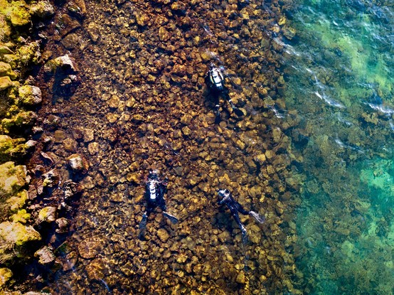 Divers on spawning grounds of Arctic charr in Lake Thingvallavatn, viewed from above