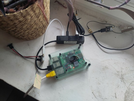 A raspberry pi placed on a windowsill in a transparent case with three described boards connected to it via a USB hub.