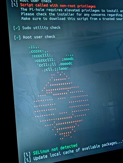 A computer terminal showing the setup for a pihole