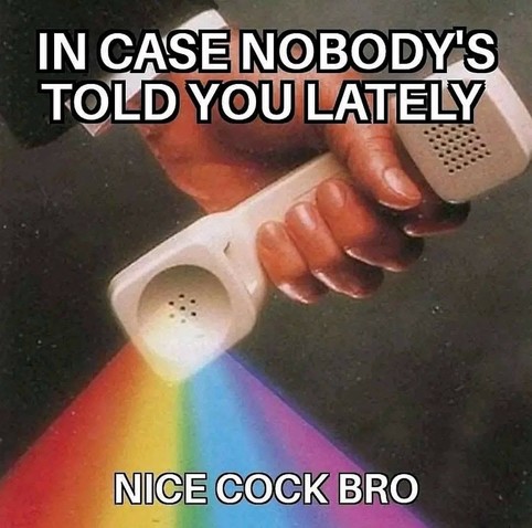 This is a meme. The image features a hand holding an old-style walkie-talkie, which is positioned over a rainbow-colored surface. The text at the top reads, "IN CASE NOBODY'S TOLD YOU LATELY," and at the bottom, it says, "NICE COCK BRO." The meme combines elements of humor and a casual, somewhat crass tone, which is typical of internet meme culture. The use of the walkie-talkie and the rainbow colors might be intended to evoke a sense of nostalgia and fun, while the text adds a layer of irreverent humor.