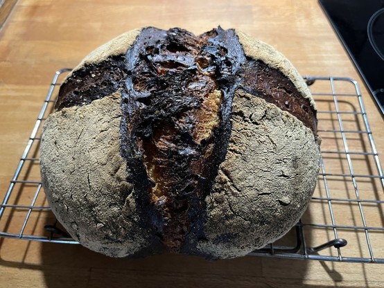 frisch gebackener Brotlaib auf einem Gitter