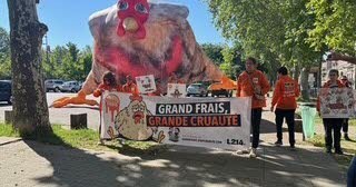 un poulet géant à Saint-Étienne pour dénoncer « l’hypocrisie » de Grand Frais