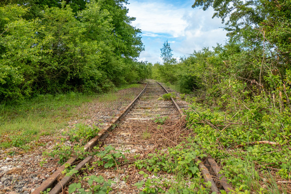 Eine stillgelegte Bahnstrecke. Pflanzen überwuchern die Gleise, links und rechts der Gleise stehen Bäume und Büsche, die teilweise auch über die Gleise wachsen. Der Himmel ist blau und bewölkt.

An abandoned railway line, plants are growing over the tracks, and there are trees and bushes to the left and right of the tracks, some of which also grow over the tracks. The sky is blue and cloudy.