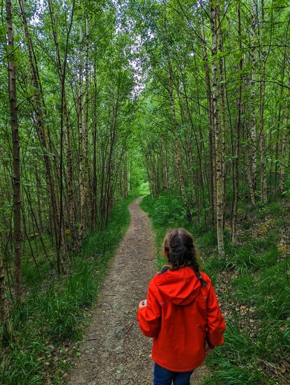 A young person with braided brown hair, wearing a bright red hooded jacket and blue trousers, walks away from the viewer along a narrow, winding dirt path. The path cuts through a dense forest of slender trees with white bark and vibrant green leaves. Greenery also grows densely along the sides of the path. The lighting suggests it is daytime.