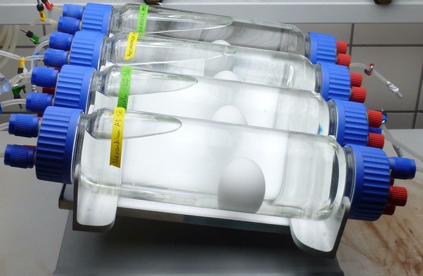 Laboratory setup with bottles on a shaker