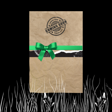 Book cover teaser image: a book is wrapped in wrinkled brown paper, with a section torn out of the middle to reveal the background of a black cover with ambiguous white lines. A green bow hides some details. The graphic has a black background with white linocut grass at the bottom.
