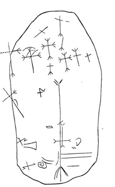 Above:   Leather  scrap  from  Herjolfsnes  (Nørlund   1924,  Fig.  132)  