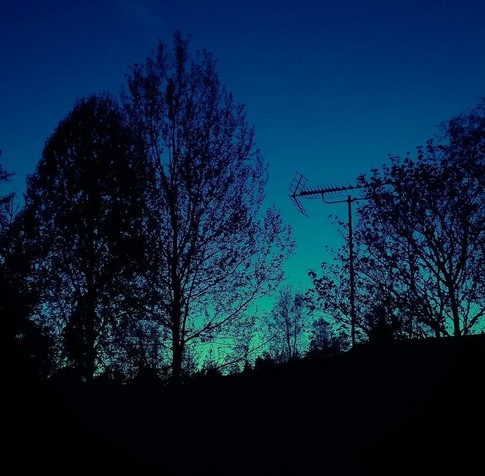 Aurora tinting the sky green along the horizon. In the foreground are the outlines of trees and an antenna.