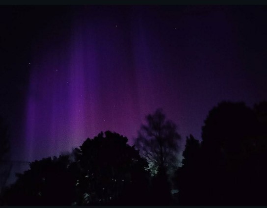 Lilac aurora hanging like a curtain in the sky. In the foreground are the outlines of trees.