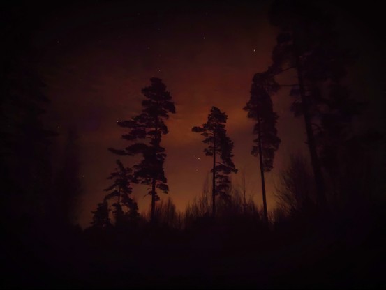 The outline of trees against an intense orange and red night sky.
