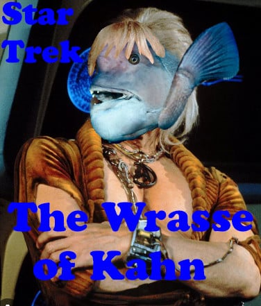 Kahn's face replaced with a wrasse fish down to the ridiculous blonde bangs for Wrasse of Kahn