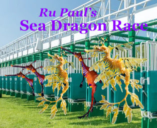 Sea Dragons artfully photoshopped into the horse race starting gates for Ru Paul's Sea Dragon Race