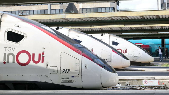 Chat écrasé en gare de Montparnasse en 2023 : la SNCF retardera désormais ses trains de 20 minutes si un animal est coincé