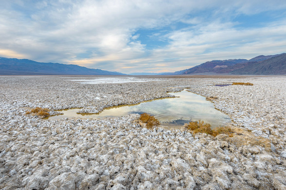 Color photograph showing a desert landscape with coarse salt formations on the ground and shallow pools of water, in flat and even light under a partially overcast sky.