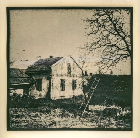 This image is a lith print, a photographic printing process known for its gritty texture, high contrast, and warm or cold tones depending on paper and developer choice. The scene depicts an old rural house, likely in Western Ukraine with weathered white walls and a steep, dark roof.

To the right, a barn with a corrugated metal roof leans at an angle, partially covered by bare tree branches, suggesting it’s late autumn or early spring. A wooden ladder rests against the roof, adding to the rustic atmosphere. The foreground is overgrown with dry grass and weeds, while the background reveals rooftops and distant trees under a pale, cloudy sky.

The lith printing process enhances the mood of decay and nostalgia: shadows are deep and gritty, highlights are soft and creamy, and the entire image has a distinctive vintage look with some edge fogging and chemical staining typical of old or hand-processed prints.