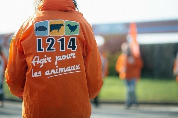 à Rennes, L214 dénonce les pratiques commerciales de cette enseigne