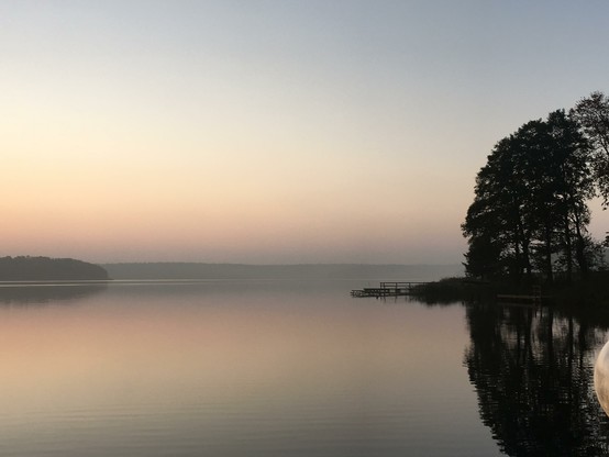 A serene lake at dawn bathed in soft pastel light. The perfectly still water creates mirror-like reflections of the pink and blue sky. On the right, silhouettes of tall trees stand at the shoreline alongside a small wooden dock extending into the water. Mist hovers over the distant shore, creating a dreamy, peaceful atmosphere with minimal color palette of blues, pinks, and dark shadows.