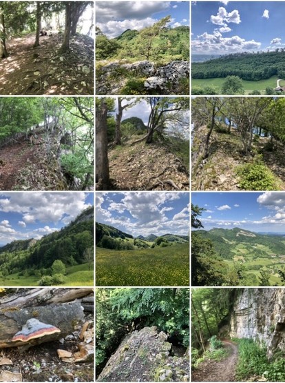 Collage aus 12 Fotos mit Landschaften, Felsen, verschiedenen Wegarten (Wanderweg, Trampfelpfad, Felsensteig) und Natur-Impressionen.