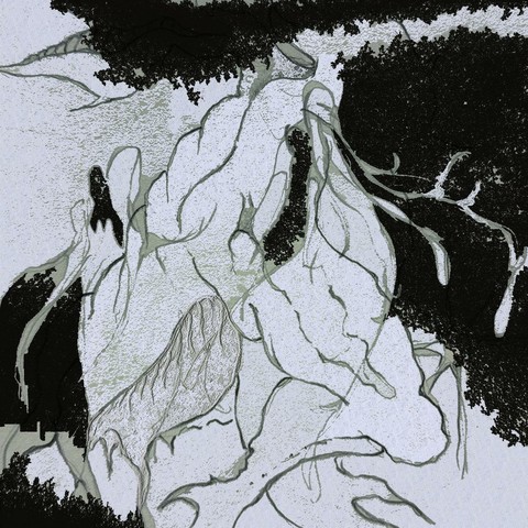 Cosimo Damiano - Multi-species (2025)

released March 14, 2025