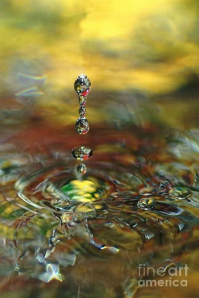 **ACHIEVED EQUAL 1ST PLACE IN FAA CONTEST - "Fun with Water - Colorful High-Speed Water Droplet Photography" May 2018

Fun with water with the colors of the surrounds reflecting in the water and refracting in the droplets.

THE FINE ART AMERICA LOGO WILL NOT APPEAR ON PURCHASED PRINTS OR PRODUCTS.