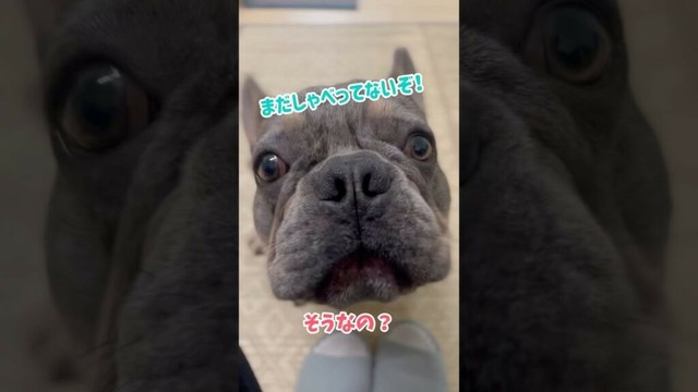 テキトーに話を聞いていたら怒られましたww #shorts