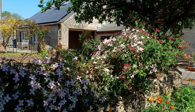 A mile a minute clematis covers a trellis in the foreground with orange poppies and honeysuckle. Behind is a garage with what looks like a large owl perched on a terracotta planter (its actually a mop)