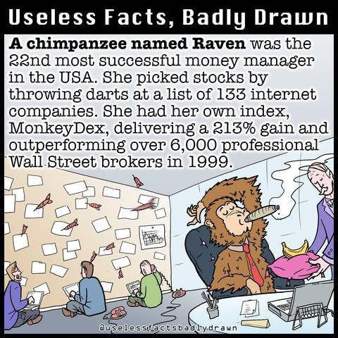 A chimpanzee named Raven was the 22nd most successful money manager in the USA. She picked stocks by throwing darts at a list of 133 internet companies. She had her own index, MonkeyDex, delivering a 213% gain and outperforming over 6,000 professional Wall Street brokers in 1999.